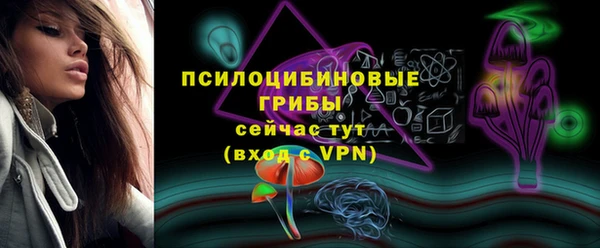 мдпв Майский